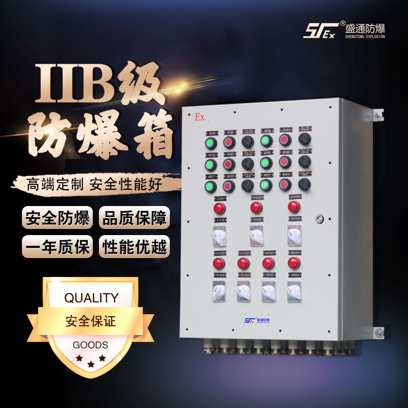 非標定制的防爆箱體 非標定制的防爆箱體